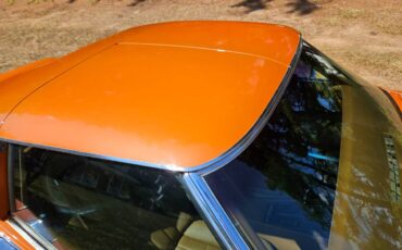 Chevrolet-corvette-ls5-1972-orange-7