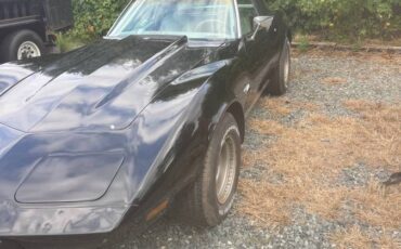 Chevrolet-corvette-stingray-1976-black