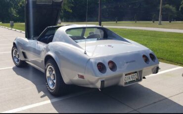 Chevrolet-corvette-stingray-1976-silver-3