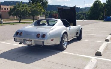 Chevrolet-corvette-stingray-1976-silver-4