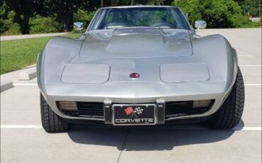 Chevrolet-corvette-stingray-1976-silver-5
