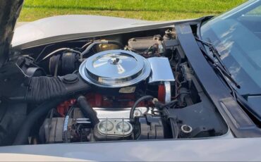 Chevrolet-corvette-stingray-1976-silver-6