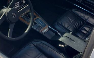 Chevrolet-corvette-stingray-1976-silver-9