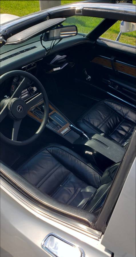 Chevrolet-corvette-stingray-1976-silver-9
