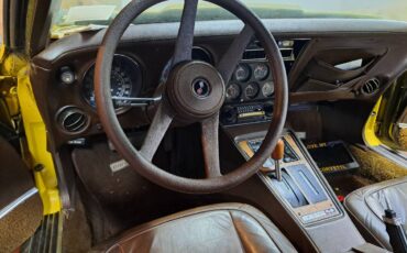 Chevrolet-corvette-stingray-1976-yellow-3
