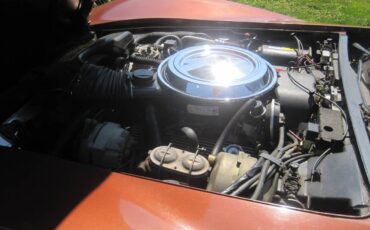 Chevrolet-corvette-stingray1-1981-10