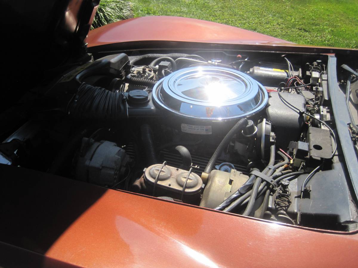 Chevrolet-corvette-stingray1-1981-10