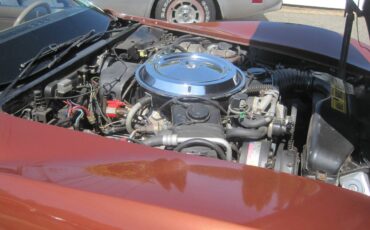Chevrolet-corvette-stingray1-1981-11