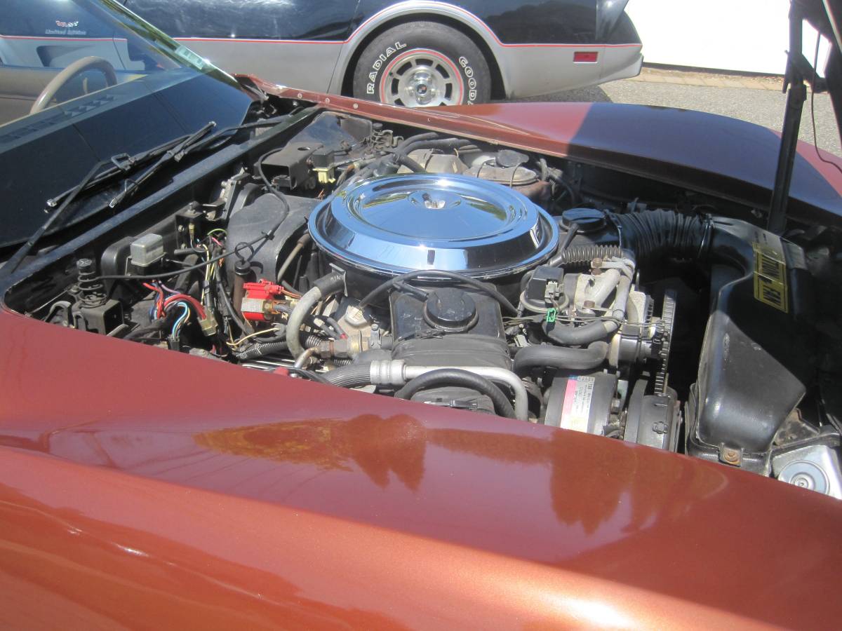 Chevrolet-corvette-stingray1-1981-11