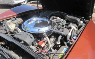 Chevrolet-corvette-stingray1-1981-12