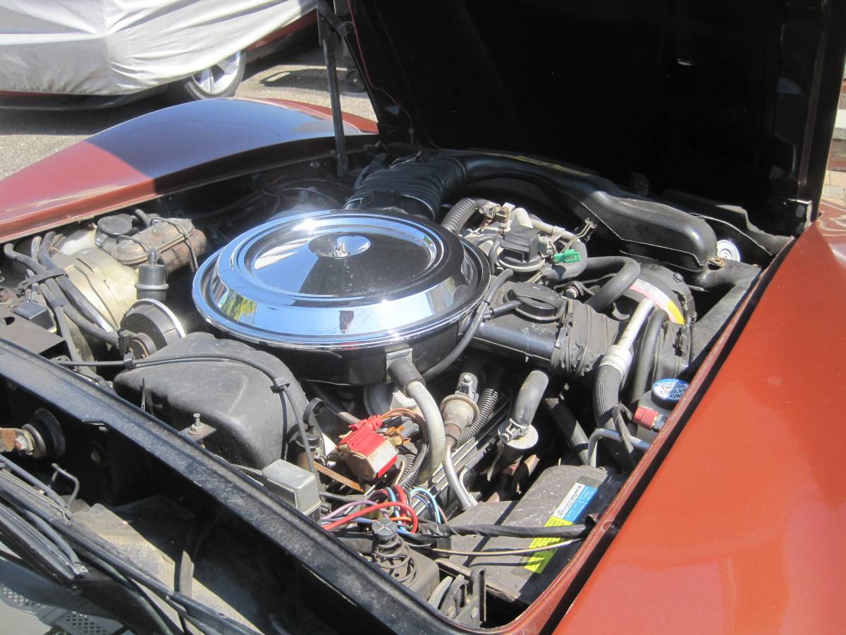 Chevrolet-corvette-stingray1-1981-12
