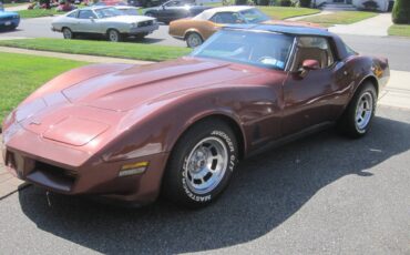 Chevrolet-corvette-stingray1-1981-17