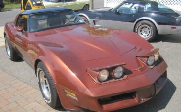 Chevrolet-corvette-stingray1-1981-18