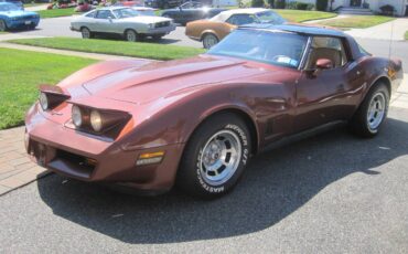 Chevrolet-corvette-stingray1-1981-19