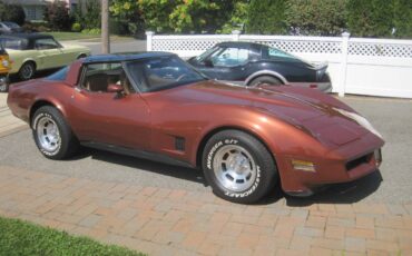 Chevrolet-corvette-stingray1-1981