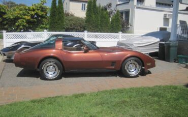 Chevrolet-corvette-stingray1-1981-4