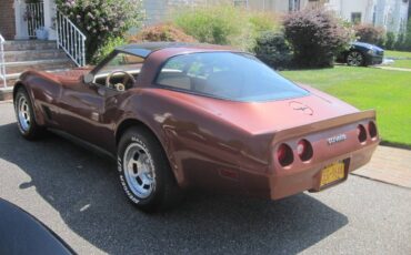 Chevrolet-corvette-stingray1-1981-5