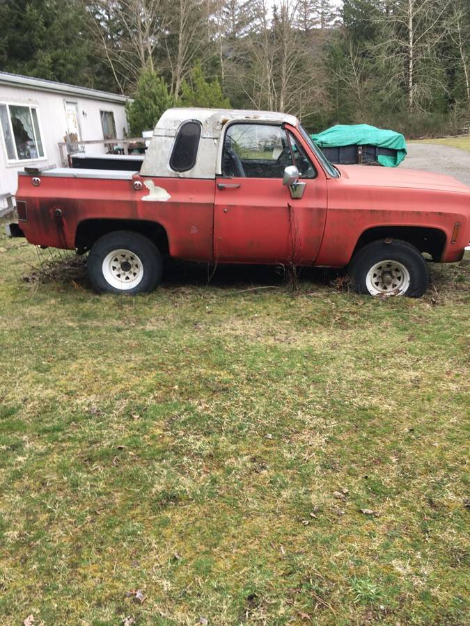 Chevrolet-custom-deluxe-4x4-1974-red-1
