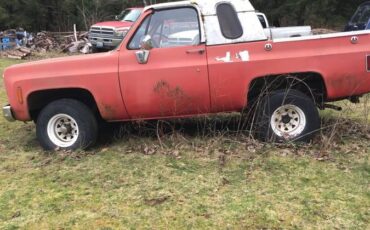 Chevrolet-custom-deluxe-4x4-1974-red
