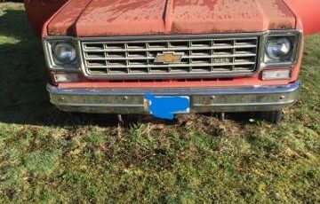 Chevrolet-custom-deluxe-4x4-1974-red-6