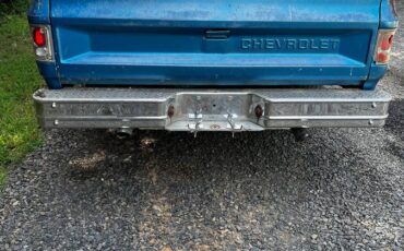 Chevrolet-custom-deluxe-c10-1984-blue-3