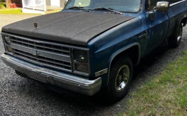 Chevrolet-custom-deluxe-c10-1984-blue