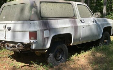 Chevrolet-diesel-1985-custom-6