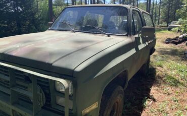 Chevrolet-diesel-1985-custom-7