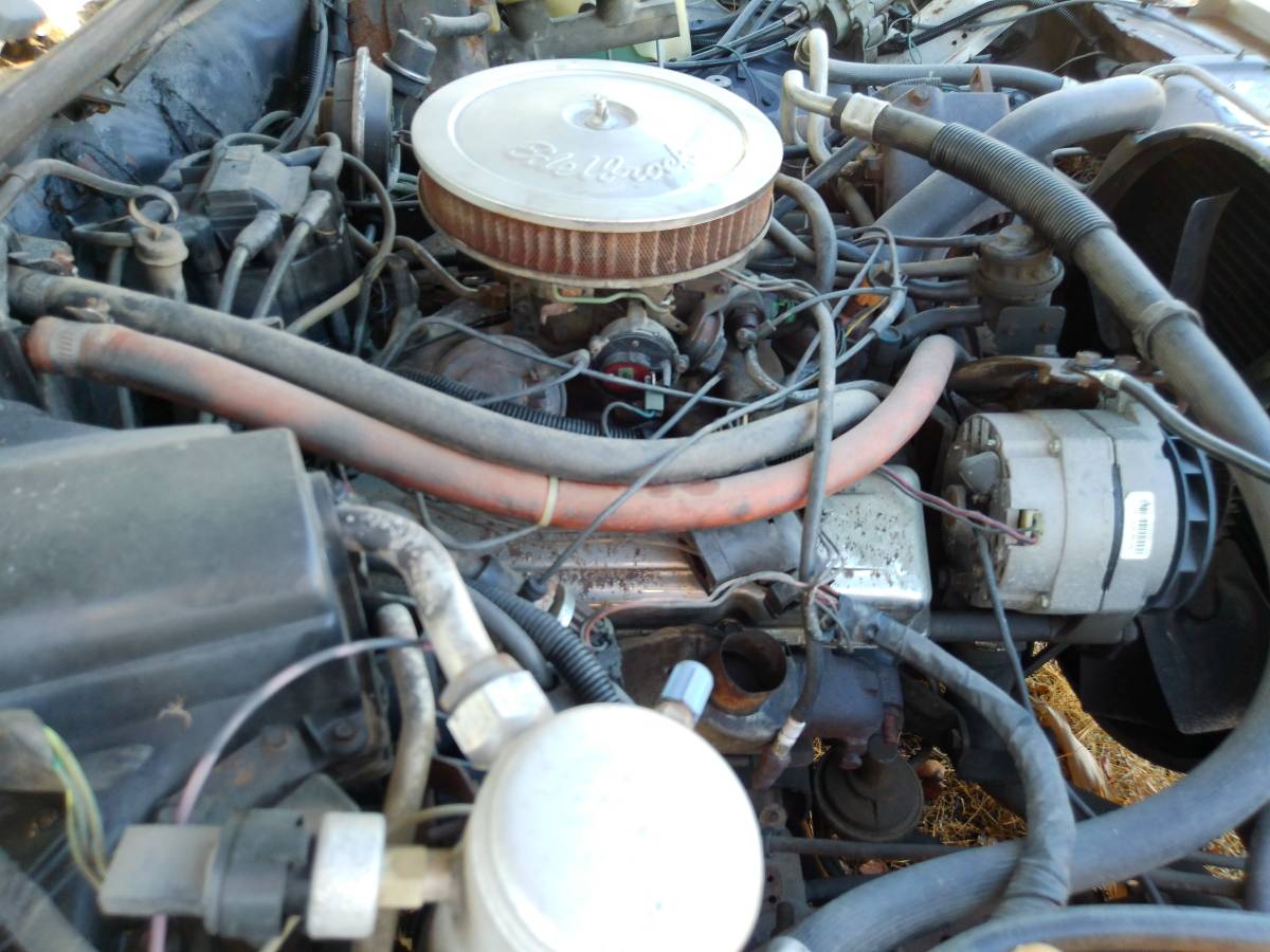Chevrolet-el-camino-12-ton-1983-white-11