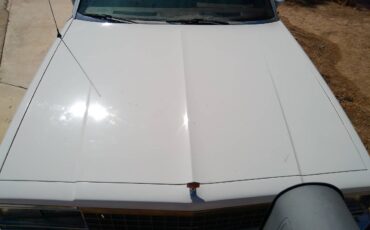Chevrolet-el-camino-12-ton-1983-white-22