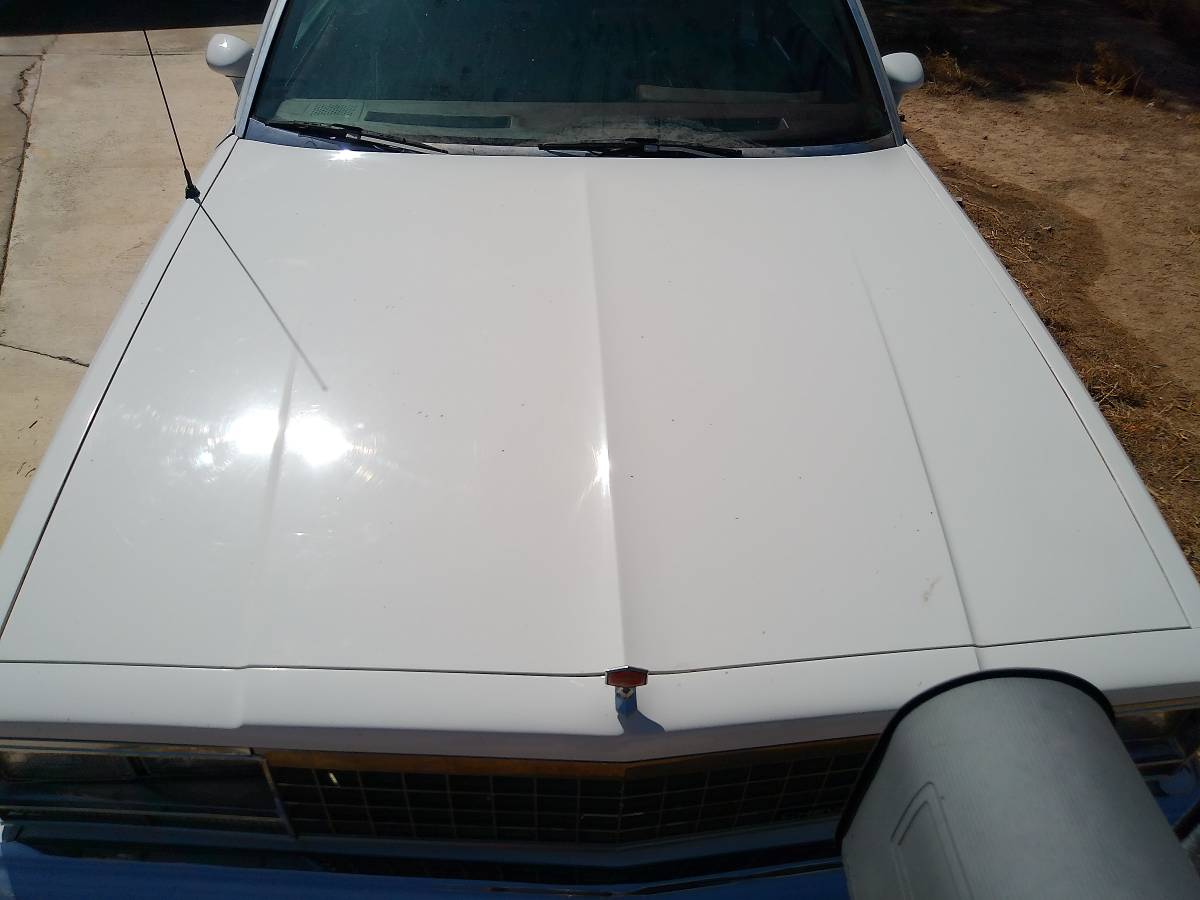 Chevrolet-el-camino-12-ton-1983-white-22