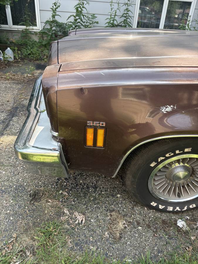 Chevrolet-el-camino-1973-brown-3