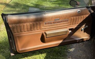 Chevrolet-el-camino-1973-brown-5