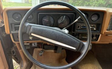 Chevrolet-el-camino-1973-brown-6