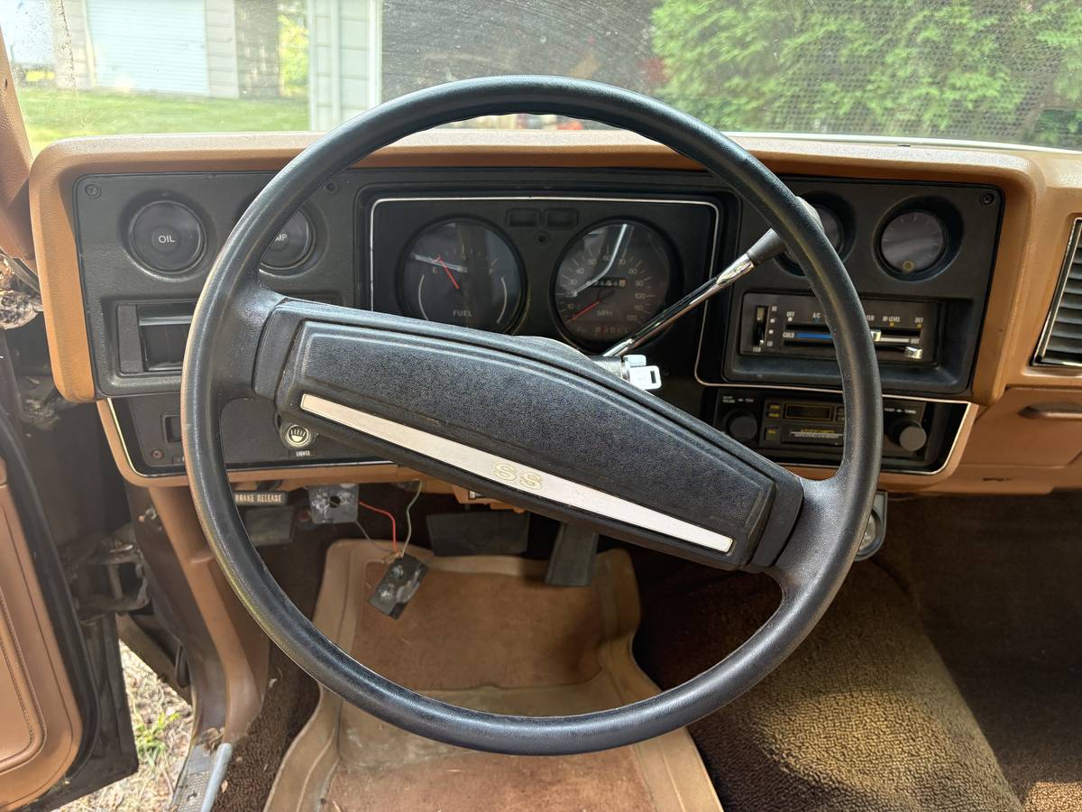 Chevrolet-el-camino-1973-brown-6