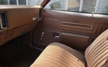 Chevrolet-el-camino-1973-brown-7