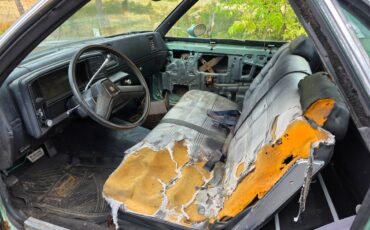 Chevrolet-el-camino-1978-11