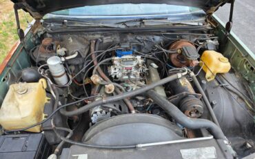 Chevrolet-el-camino-1978-14