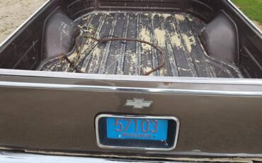 Chevrolet-el-camino-1978-brown-3