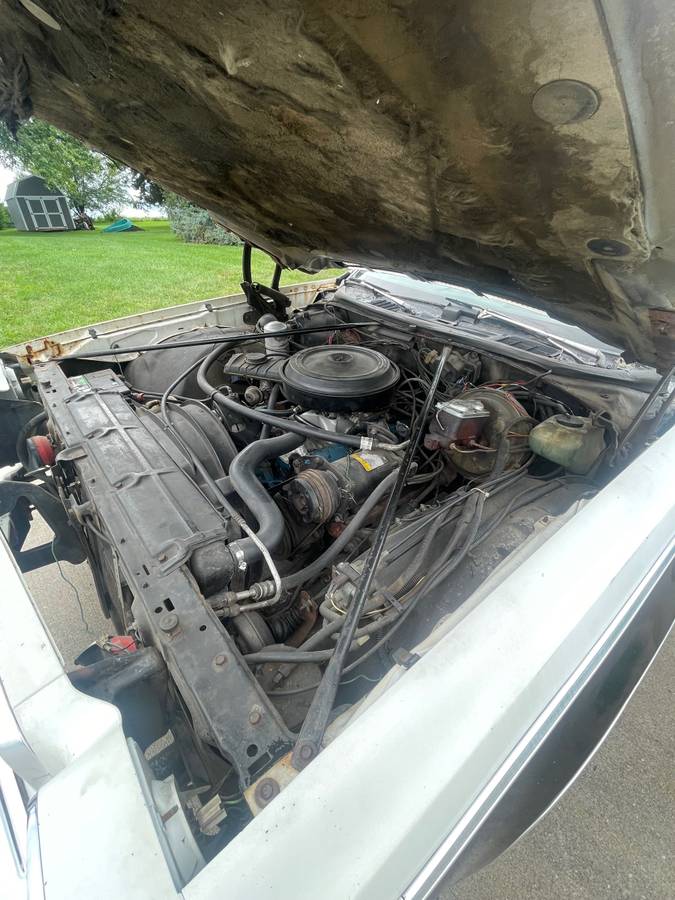 Chevrolet-elcamino-1977-black-16