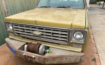 Chevrolet-k10-pick-up-1976-2