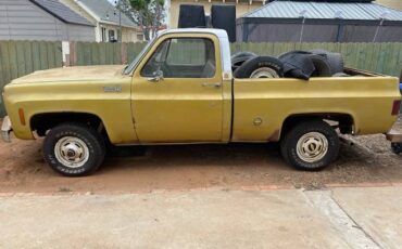 Chevrolet-k10-pick-up-1976