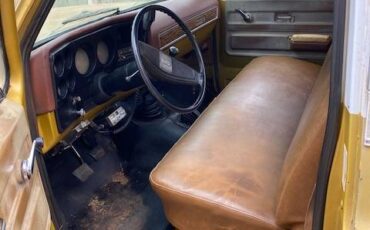 Chevrolet-k10-pick-up-1976-4