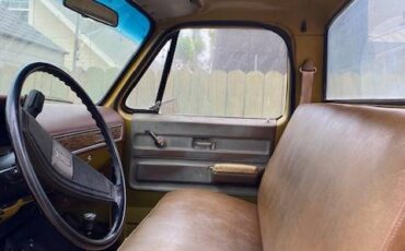 Chevrolet-k10-pick-up-1976-5