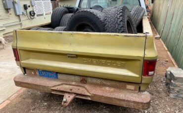 Chevrolet-k10-pick-up-1976-6