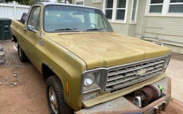 Chevrolet-k10-pick-up-1976-9