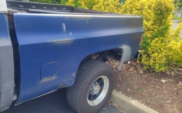 Chevrolet-k10-silverado-1979-3