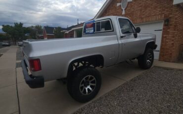 Chevrolet-k10-silverado-1983-silver-10
