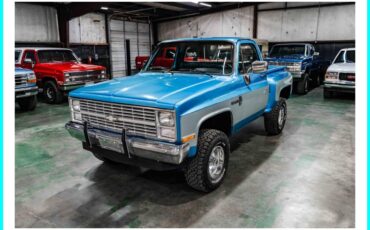 Chevrolet-k10-stepside-1983-blue-12