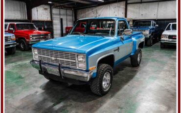Chevrolet-k10-stepside-1983-blue-28